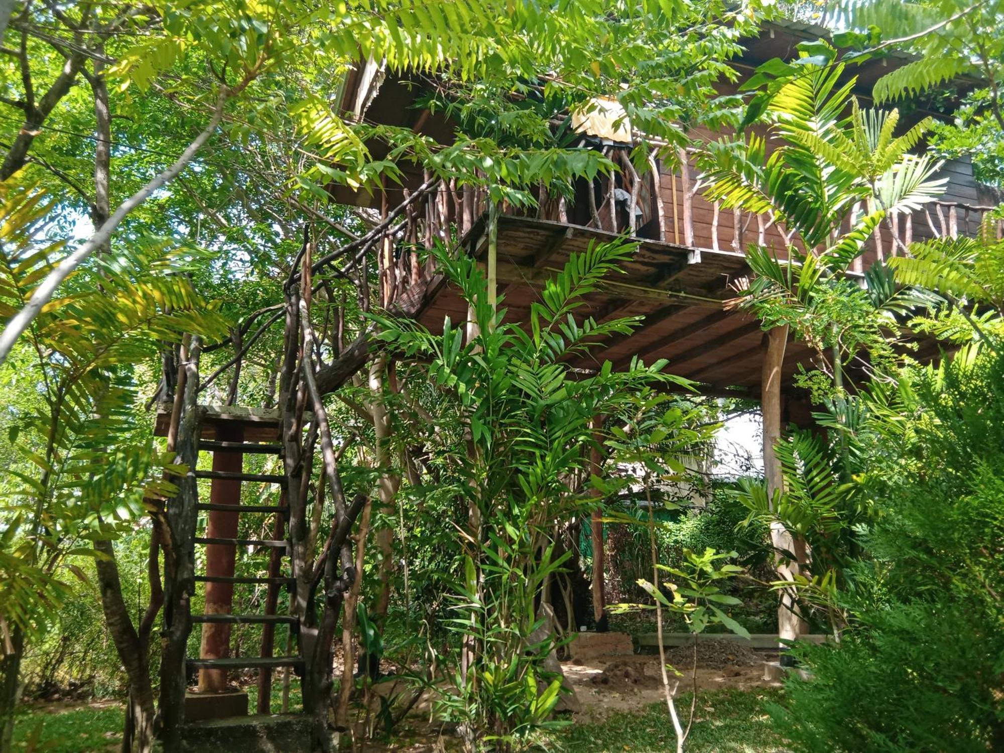 Sigiriya Rock Gate Tree House酒店 外观 照片