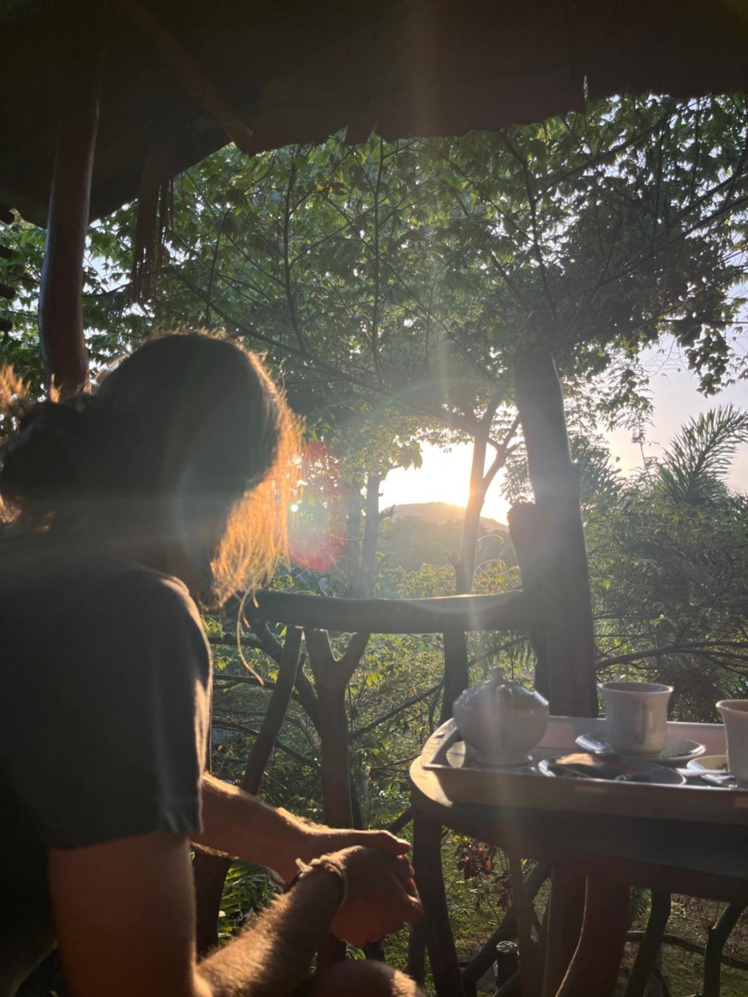 Sigiriya Rock Gate Tree House酒店 客房 照片