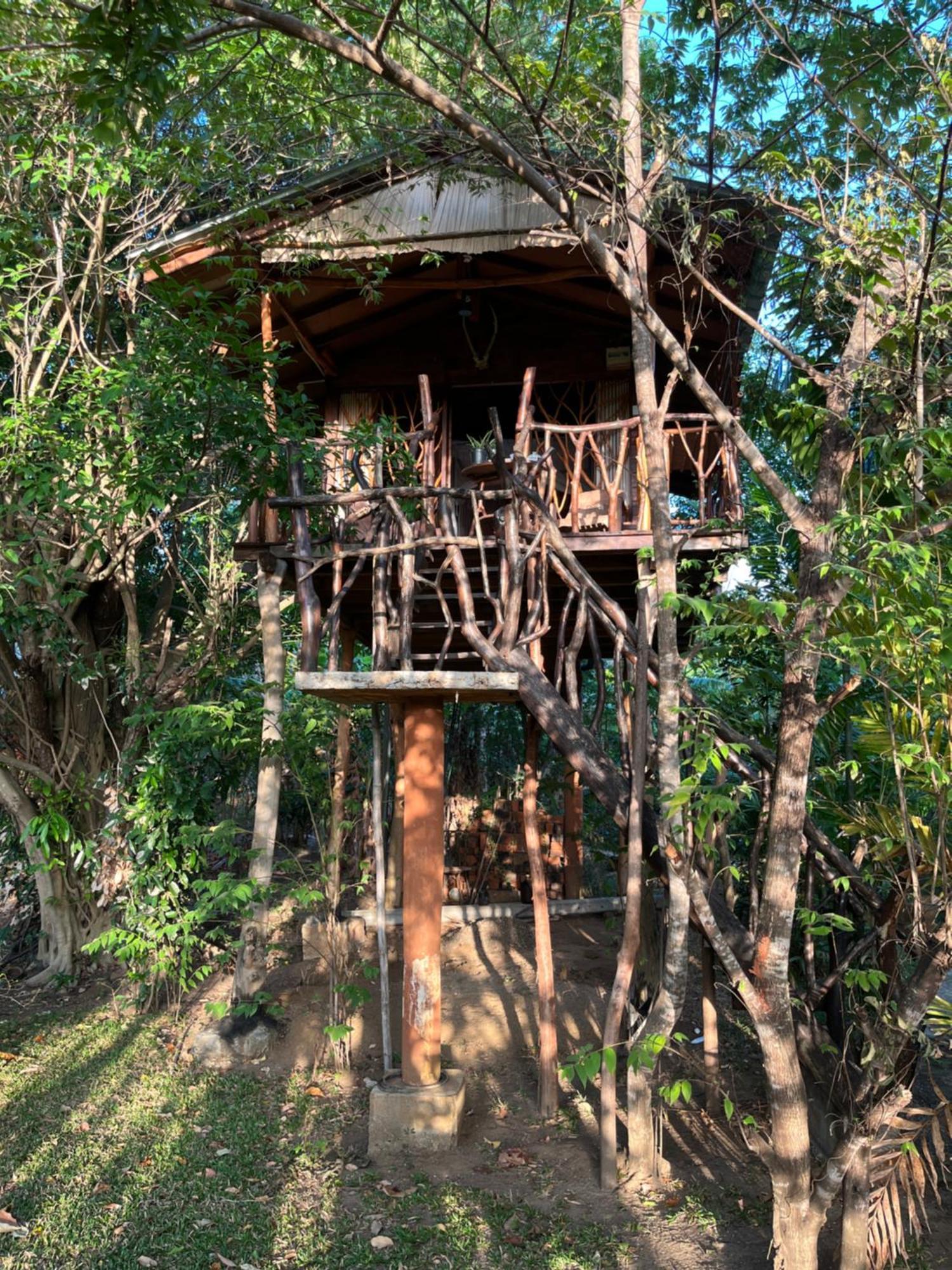 Sigiriya Rock Gate Tree House酒店 客房 照片