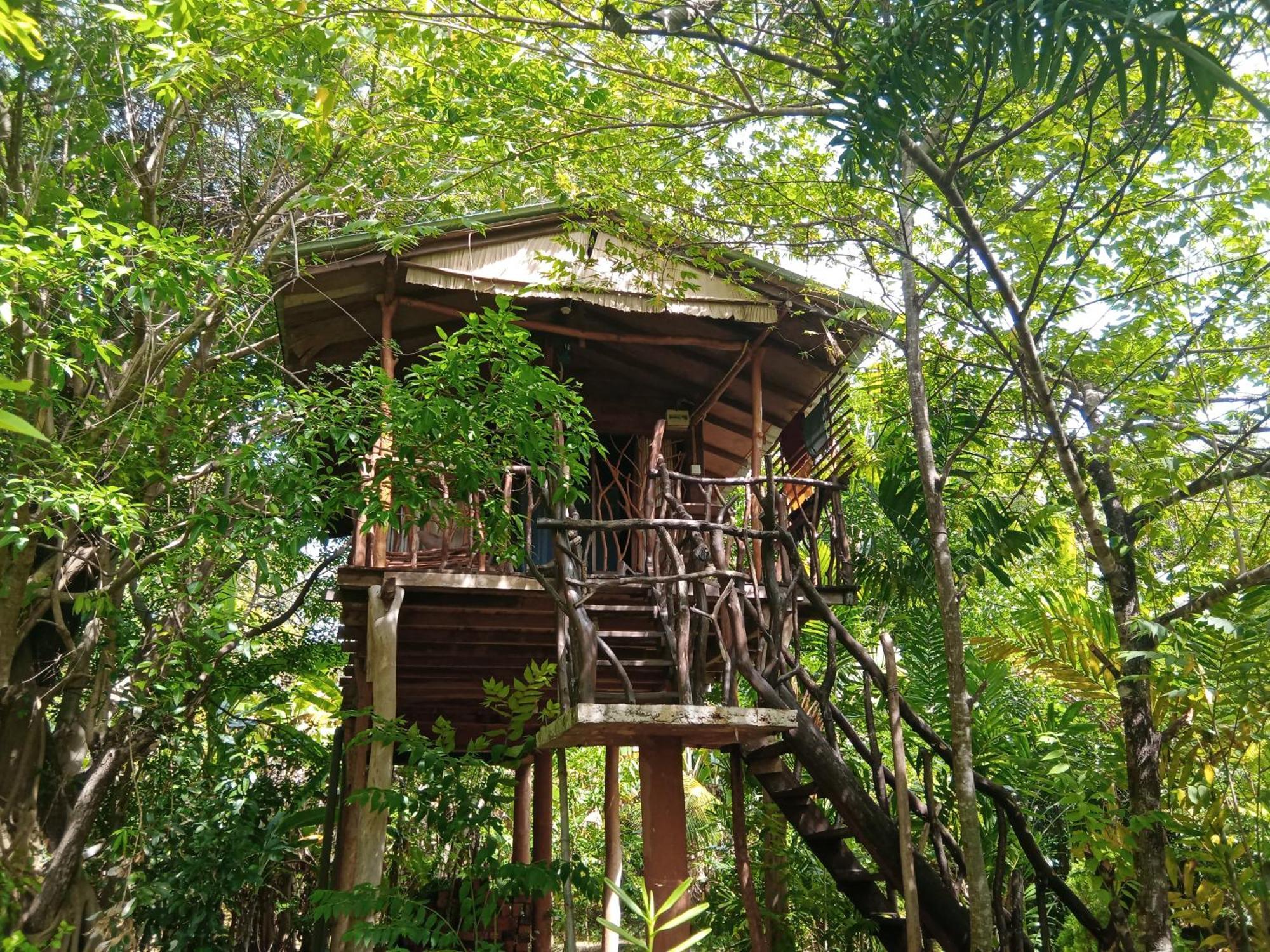 Sigiriya Rock Gate Tree House酒店 客房 照片